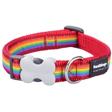 Red Dingo Rainbow Dog Collar | Dogs