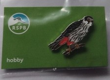 Rspb Pin Badge Of A Hobby