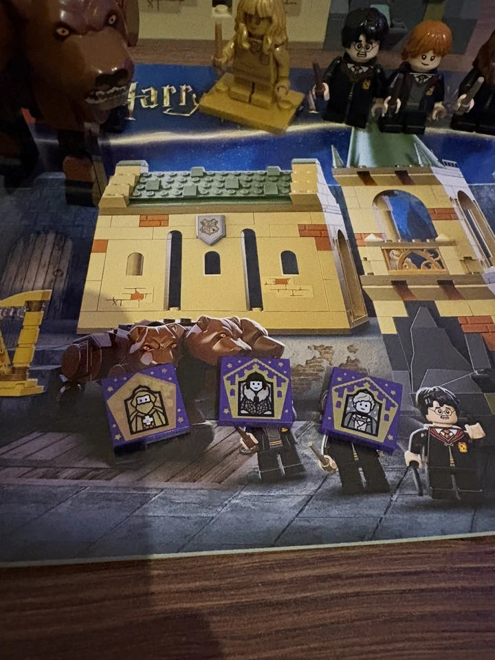 LEGO Harry Potter 76387 Hogwarts: Fluffy Encounter, photo 4 of 5