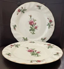 Set of 2 Lynns Victorian Rose Dinner Plates 10 1/2” China