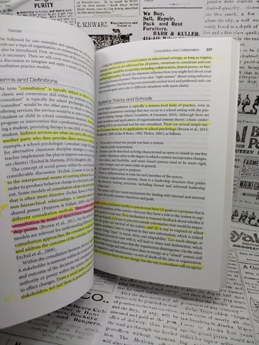 SCHOOL PSYCHOLOGY AND SOCIAL JUSTICE: CONCEPTUAL By David Shriberg & Samuel Y. - Picture 8 of 12