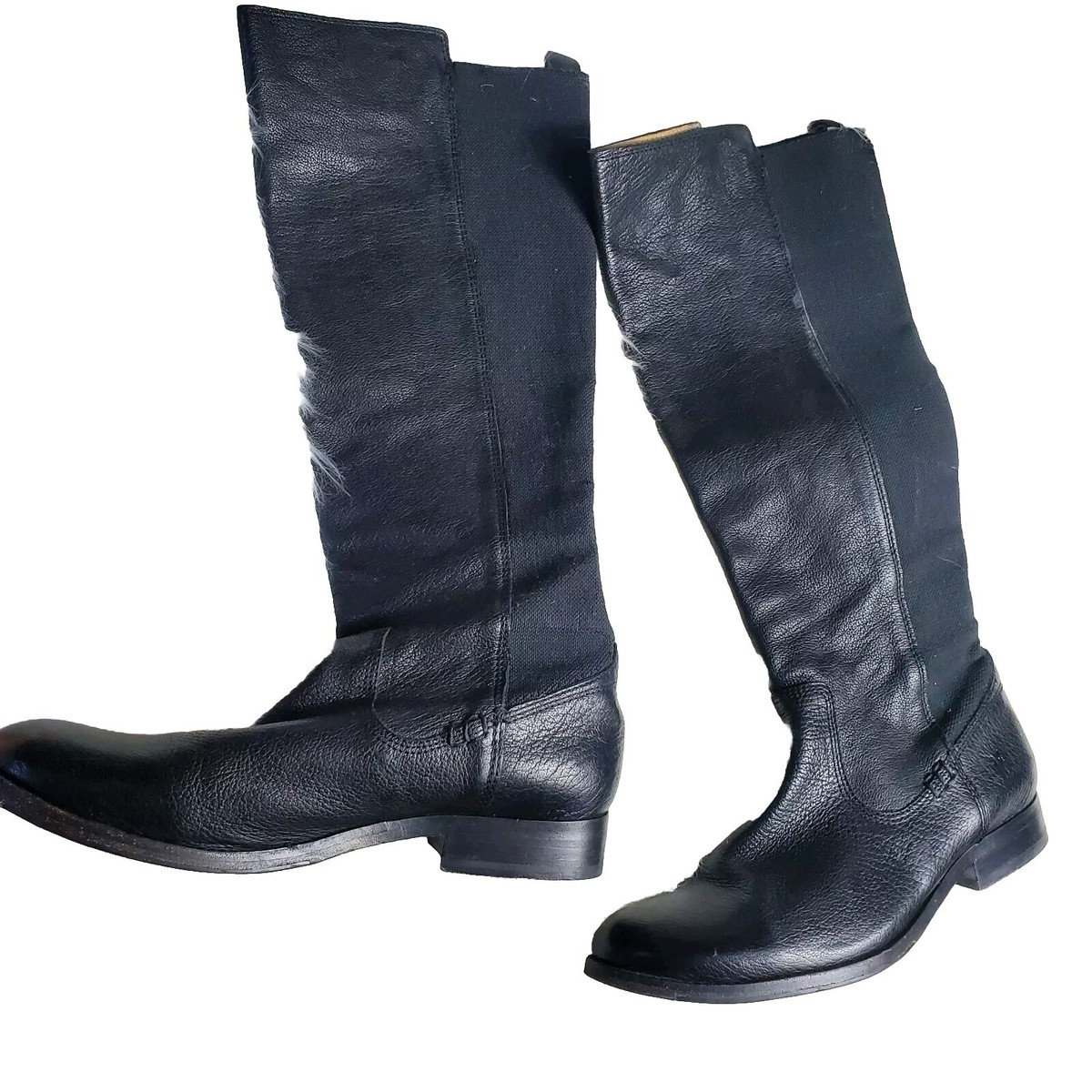 Frye Molly Gore Stretch-Back Tall Boot Black Size US 8B Riding Pull On