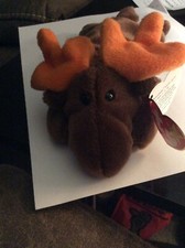 TY Beanie Baby - CHOCOLATE the Moose (9 inch)