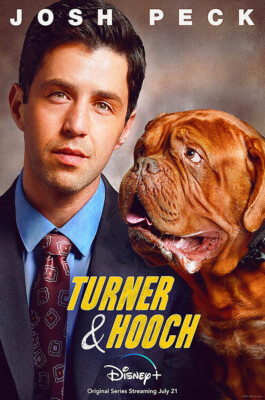 Josh Peck Turner Et Hooch Josh Peck What Type Of Dog Was In Turner