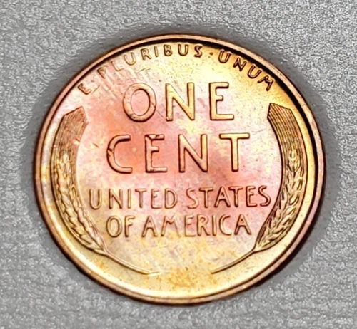 TONED 1955 D LINCOLN WHEAT PENNY UNC #P222