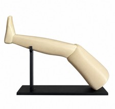 Garpez Da Esposizione 25cm - Ispirato Al Film “3 Uomini Ed Una Gamba” -Stampa3d
