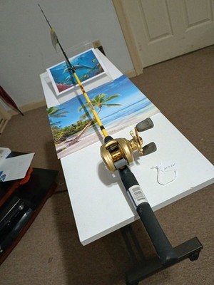 baitcasting fishing rods Lew's 5'6'' Light 2-8lb And Reel Browning