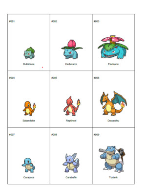   Druckbarer Pokédex PDF - Um Ihnen zu helfen, Ihre Pokémon Karten zu organisieren ENGLISCH