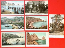 CATALINA ISLAND~ BATHERS, Sun Fish, TUNA, BLACK SEA BASS ~7 postcards ~1901-1907