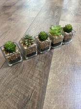 Set Of 5 Faux Succulents In Square Glass Vases Small 