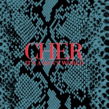 Image of Cher It's a Man's World Deluxe Edition 2 CD NEW