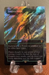 Fangorn Forest Mtg | eBay