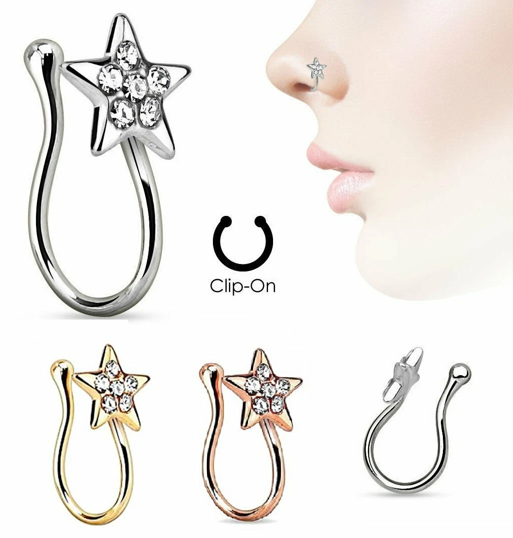 Buy Back Screw Nose Stud,Nose Hoop Ring,Star Nose Piercing,Silver Nose Stud,Crock  Screw Nose Stud,925 Sterling Silver Nose Stud,Indian Nose Stud,Indian Nose  Ring,Mother Day Special Gifts(TEJ182) Online at desertcartINDIA