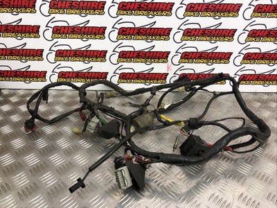 ♻️ Honda Cbr 600 F F3 Cbr600F Cbr600 1995 96 1997 1998 Main Wiring Loom