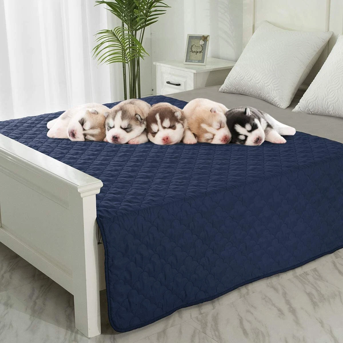 Waterproof dog store blankets for bed