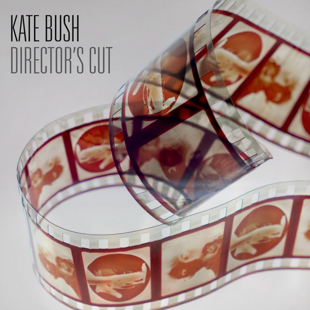 Kate Bush Director's Cut (Fish People Edition) (Vinyl LP)
