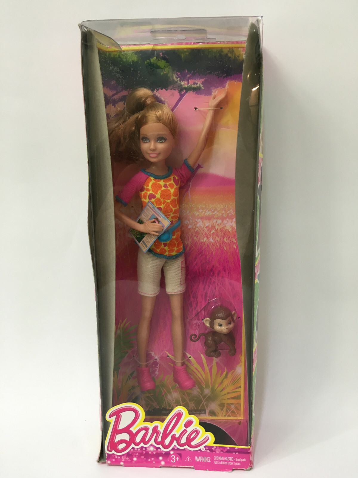 barbie dreamhouse stacie