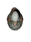 Geo Z Lefton Duck Figurine 1987 Ceramic Qulted Pattern