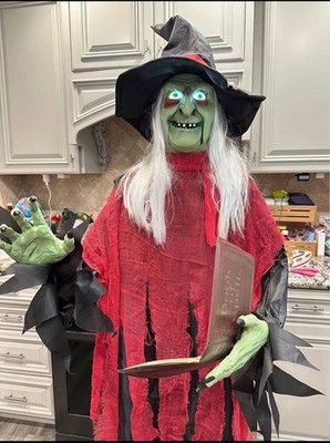 6 Ft LED Spell-Casting Witch Halloween Animatronic-Mssg 4 Cash P/U Deal