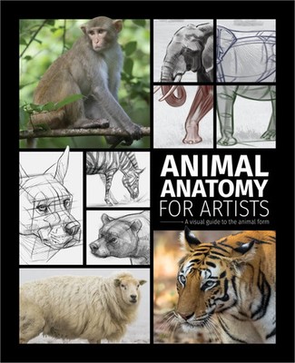 Animal Anatomy for Artists | A visual guide to the animal form | Publishing