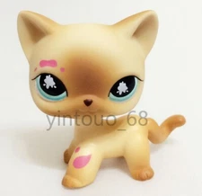 LPS Pet Shop #816 Messiest Cream Siamese Splash Cat Kitty Blue Eyes