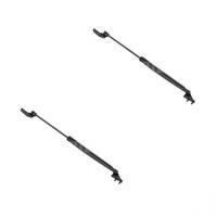 Gasfedern-Set Kofferraum 500Mm 500 N Hub 193Mm Stabilus FüR U.A. Mazda Premacy