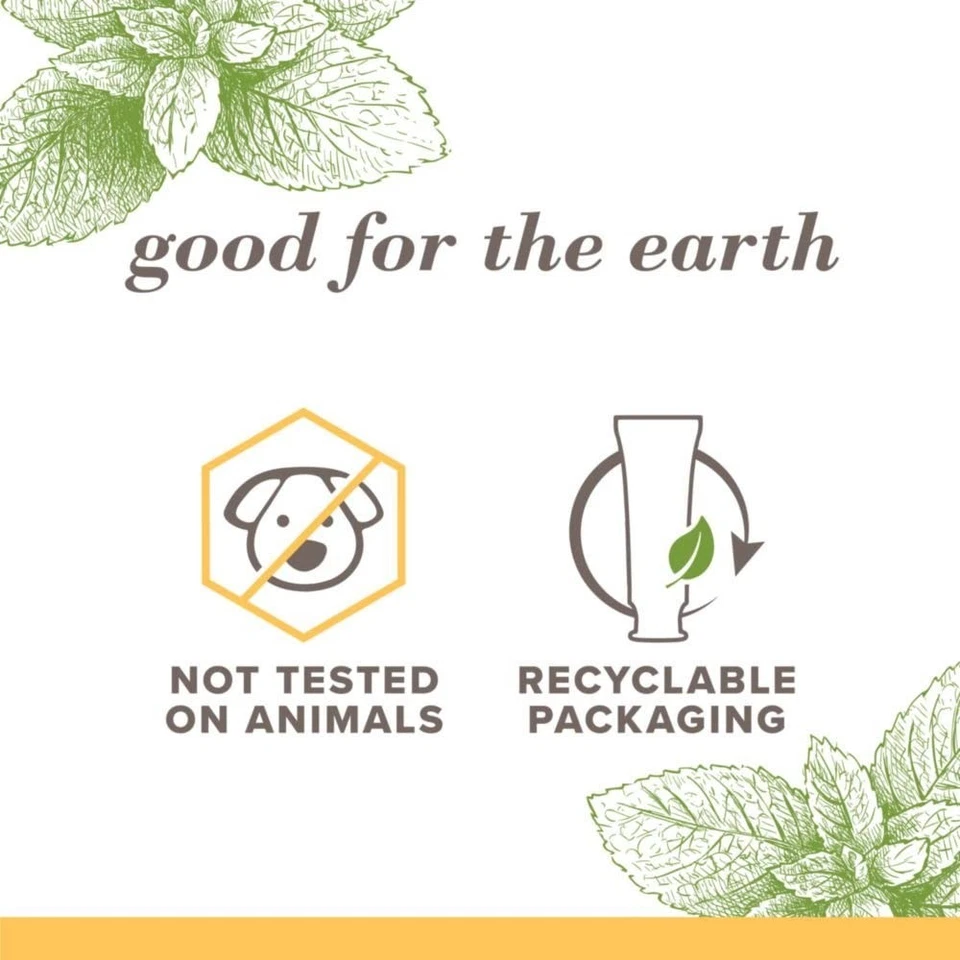 Pasta de dientes de menta Zen sin flúor puramente blanca Burt's Bees, paquete de 4,7 oz - 3 Foto 2 de 4