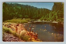 Northern California CA-California, Vacationland in Redwoods, Vintage Postcard