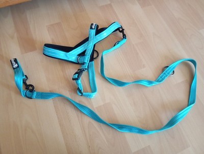 Alcott Norweger Hundegeschirr Gr. M  Türkis