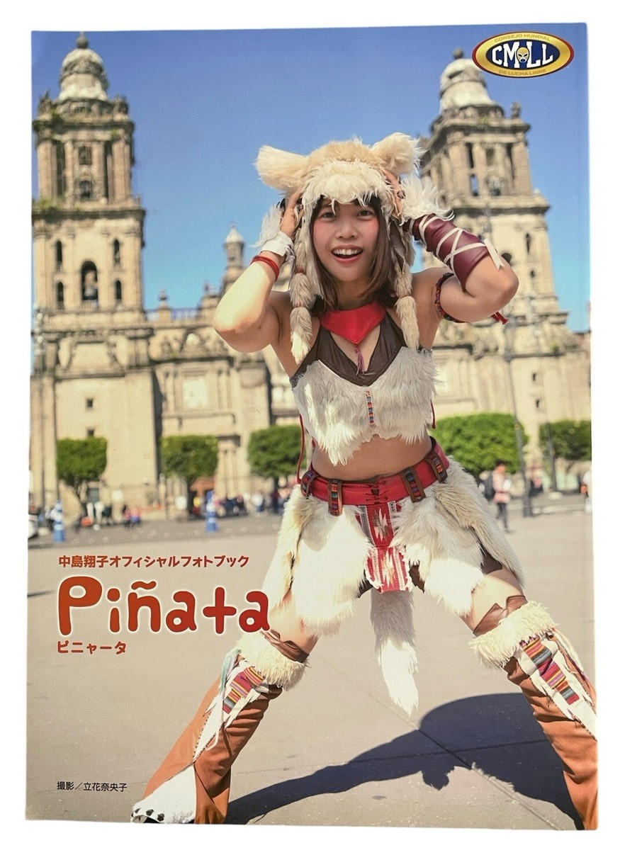 プロレスDVD8本セット 夜明けはどっちだ 平成維新軍の胎動 DVD 燃えろ！新日本プロレス