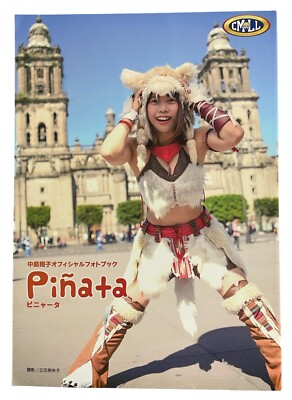 みっちゃんさま TJPW Shoko Nakajima Photo Book 