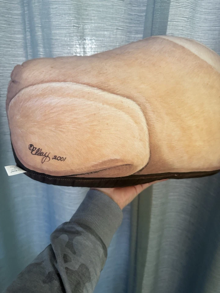 Leslie Anderson Fiddlers Codo Amarillo Laboratorio Sandee The Lab Tope Puerta Prop Foto 3 de 4