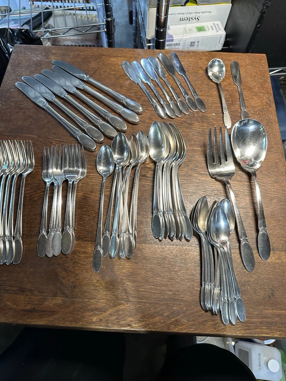 1847 Rogers Bros International Silver Sylvia NO Monogram Silverplate 58 pieces