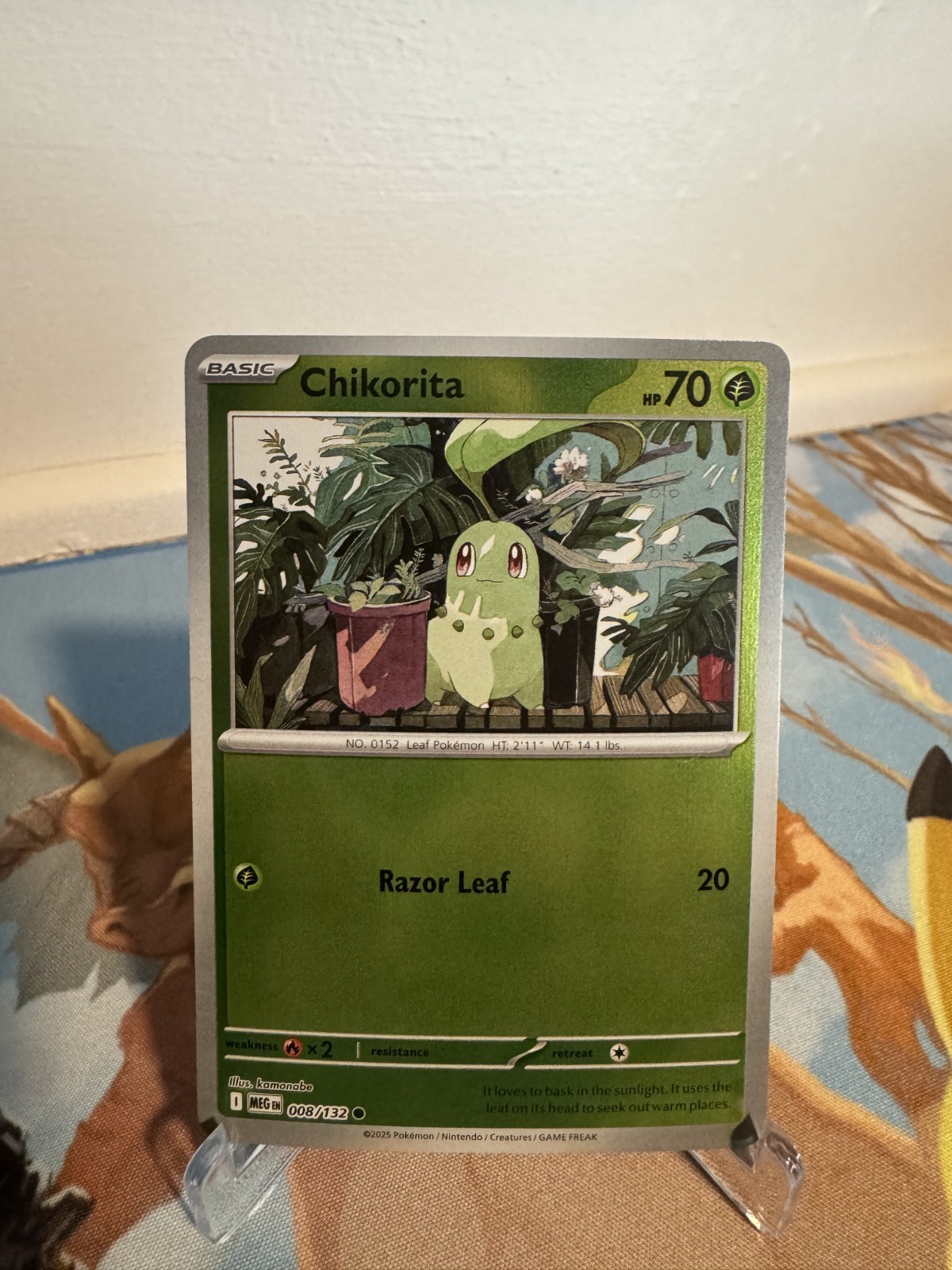 Reverse Holofoil Chikorita 008/132 Common ME01: Mega Evolution Pokemon