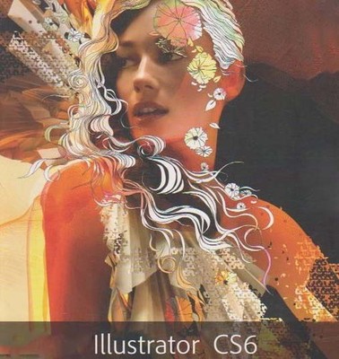 Illustrator CS6 Vollversion Lizenz Dauerlizenz Lebenslang Deutsch Windows DVD