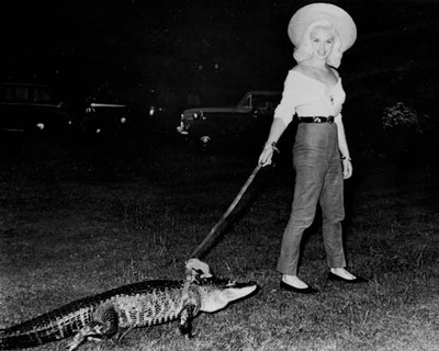 Diana Dors Ein Alligator Namens Daisy 8x10 Foto Oder Poster