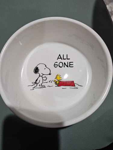 Peanuts SNOOPY &amp; Woodstock 5"x 2" Pet Food Water Bowl Dog/Cat Dish "ALL ...