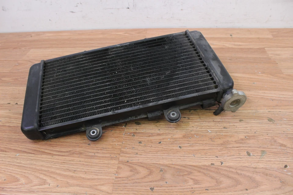 1998 BMW F650 FUNDURO Radiator Cooler - Image 4 of 4