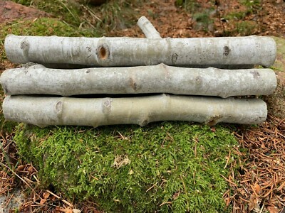 Aspen logs, 12 inches long x 1 -2 inches diameter, six pieces | eBay UK