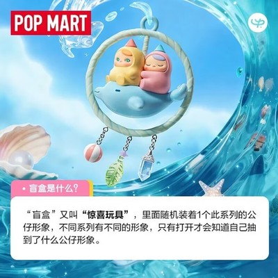 Wish Upon a Star(hidden)- PUCKY Dreamy Wishes Series Blind Box