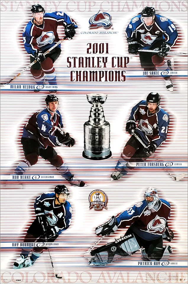 SPORTS POSTER WAREHOUSE Colorado Avalanche 2001 STANLEY CUP CHAMPIONS Vintage Original 22x34 POSTER