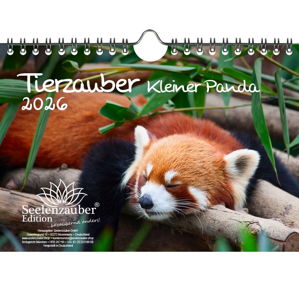 Tierzauber Kleiner Panda DIN A5 Kalender für 2026 Roter Panda - Seelenzauber