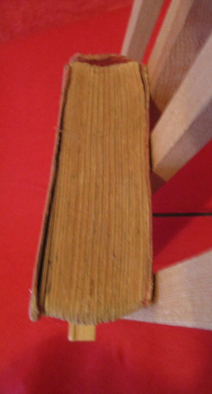 Bild 6 von 15