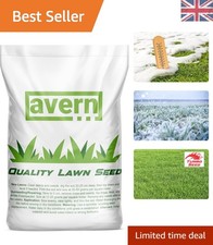 500g Turbo Cold Grass Seed - Ideal for Winter Lawns & Overseeding in UK Gardens 35.98 per kilo