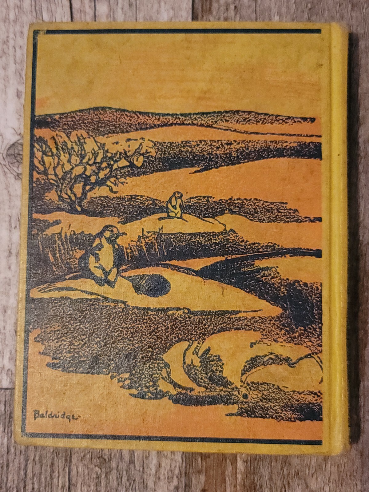 Picture 2 of 12
