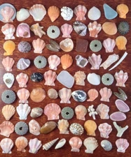 japanese sea glass Surf-Tumble  Seashell Set Various types tiny           110