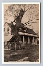 Staten Island NY- New York, Christopher House, Willowbrook Road Vintage Postcard