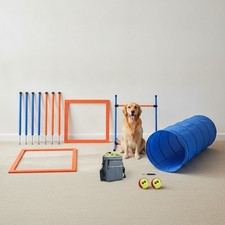 Dog Agility Training Equipment Kit for Backyard Fun Obedience