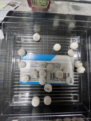 IPS Emax Ivoclar Vivodent Once Pressed HTBL1- HTBL4 Ingots Lot Of 80