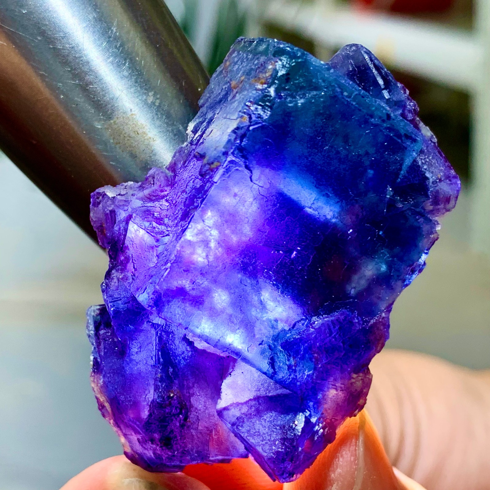 40G Natural Fluorite Cubic Crystal in Purple Blue Green Colors